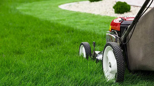 Landscaping Services